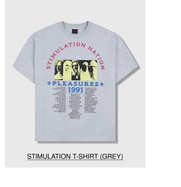 STIMULATION T-SHIRT (GREY)