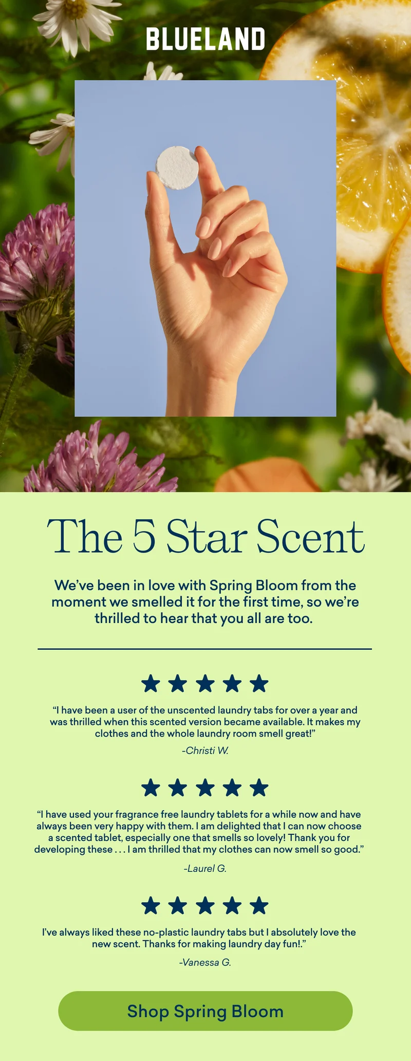 Spring Bloom has 5 Stars