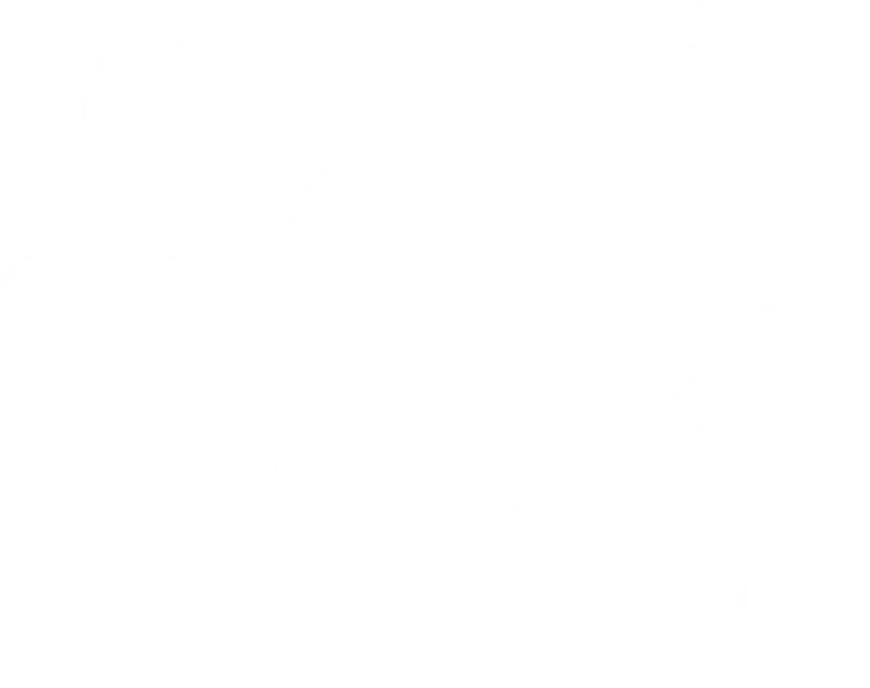 Financing