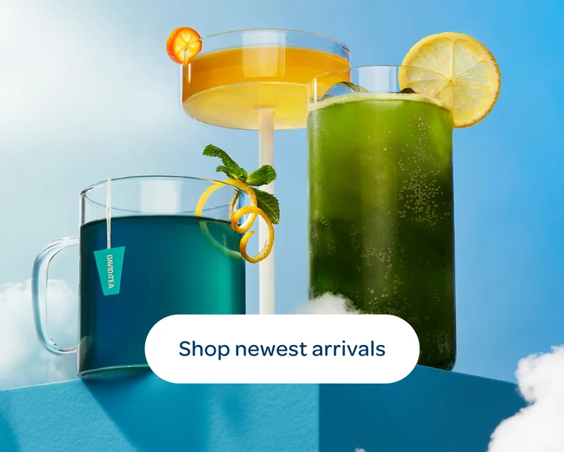 Shop Newest Arrivals