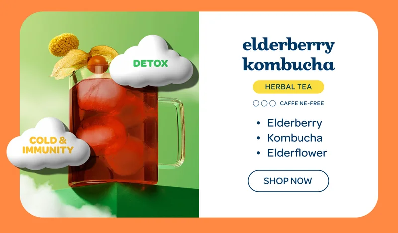 Elderberry Kombucha - Shop now