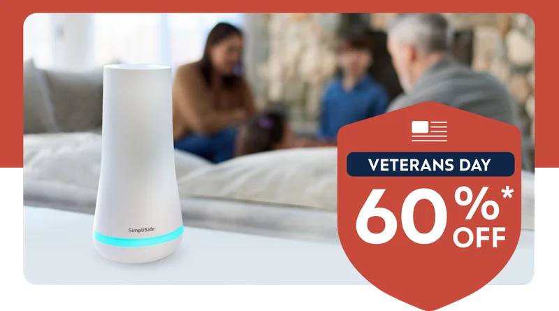 Veterans Day - 60% off