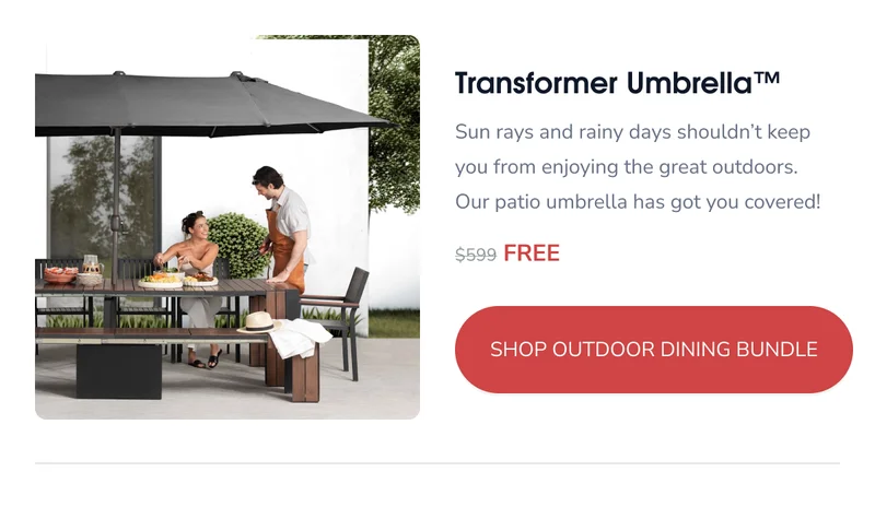Transformer Umbrella
