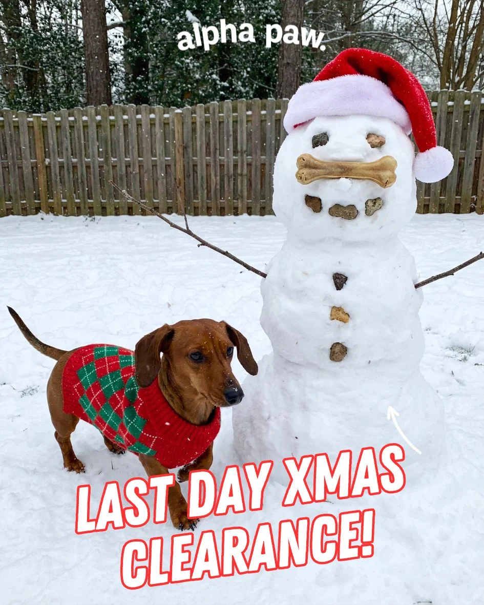 Alpha Pawlidays