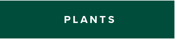 Plants Plants