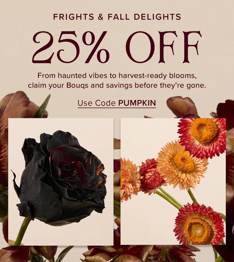 Frights & Fall Delights: 25% Off. From haunted vibes to harvest-ready blooms, claim your Bouqs and savings before their gone. Use code PUMPKIN