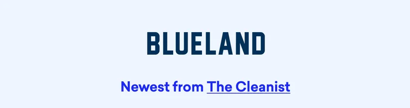 Newest from The Cleanist