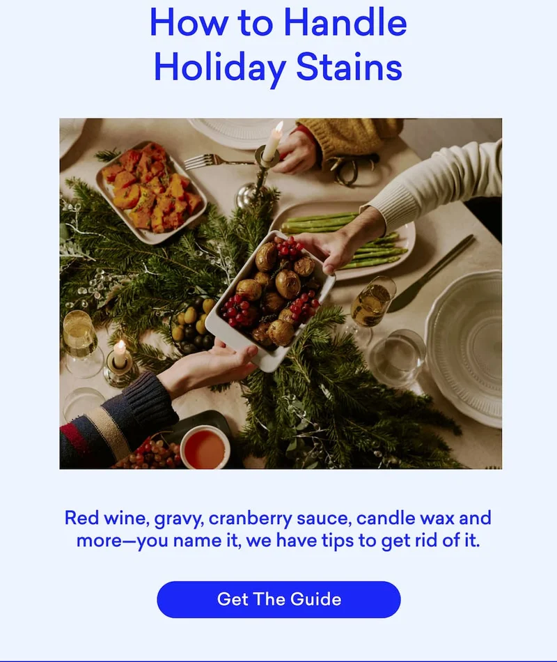 How to Handle Holiday Stains. You name it, we have tips to get rid of it. Get The Guide.