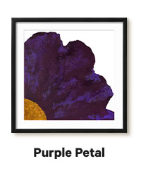 Purple Petal by Ajoya Grace
