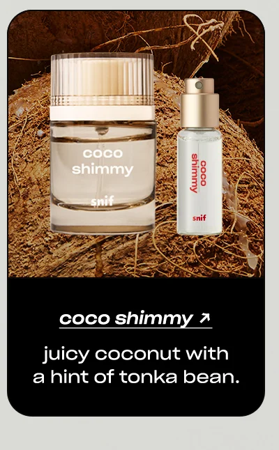 Shop Coco Shimmy →