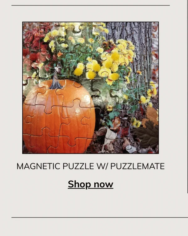 Magnetic Sensory Jigsaw Puzzle with Puzzlemate (Magnetic Lapdesk)