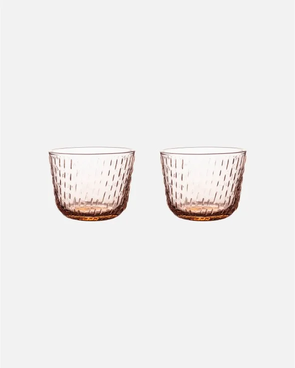 Syksy glass tumblers, set of 2