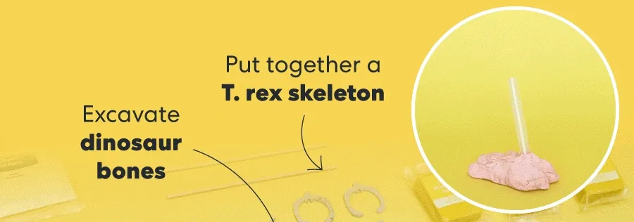 Put together a T. rex skeleton & Excavate dinosaur bones!