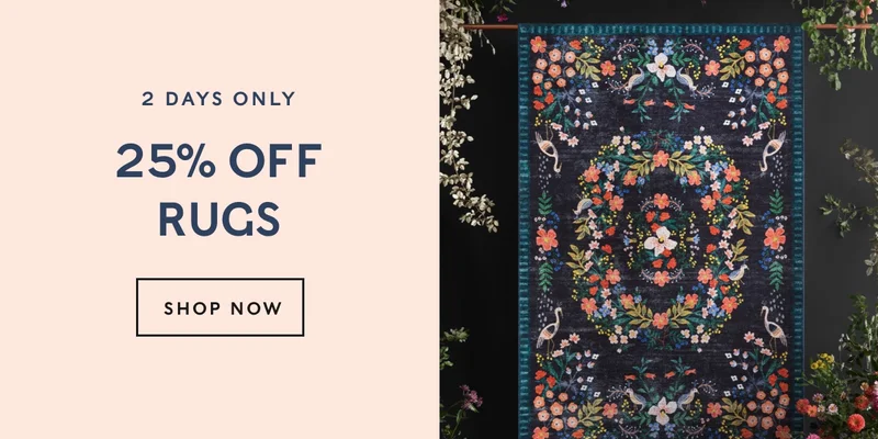 2 Days Only: 25% Off Rugs