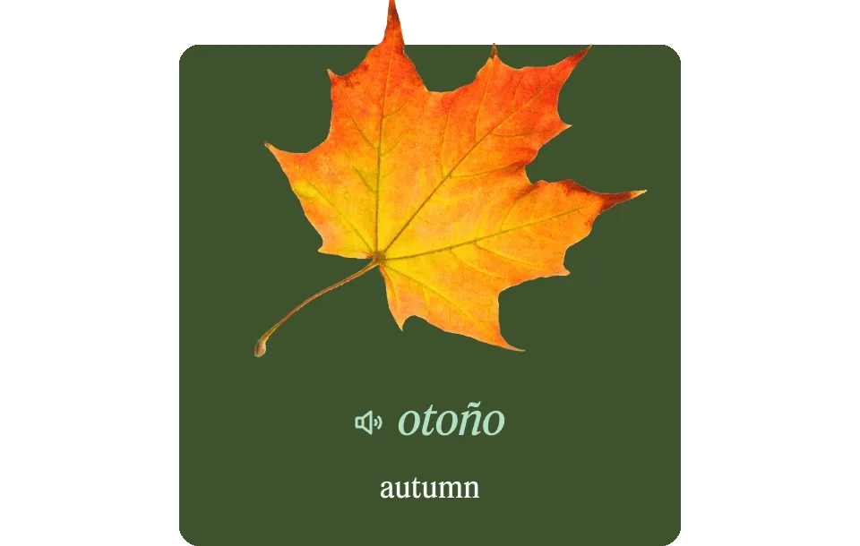 leaf