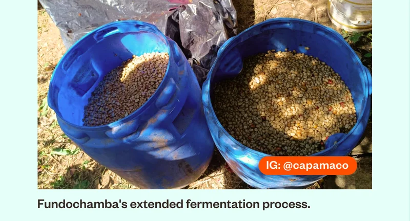 Photos of Fundochamba Extended fermentation process.