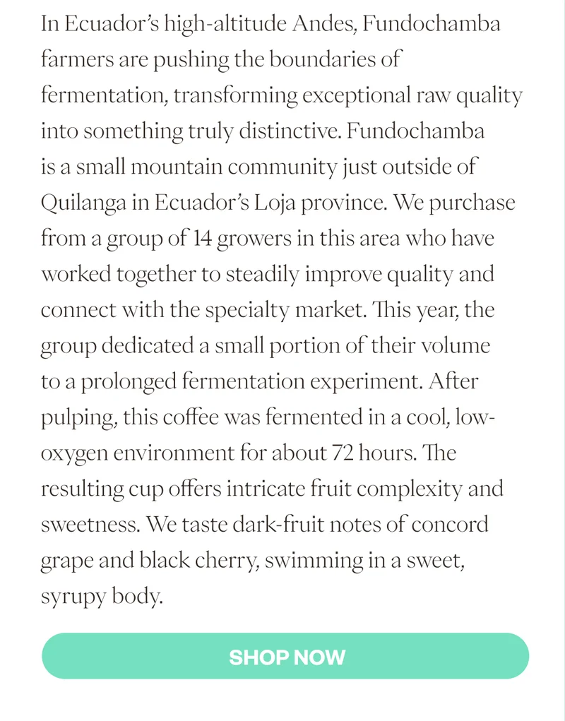 In Ecuador’s high-altitude Andes, Fundochamba farmers are pushing the boundaries of fermentation, transforming exceptional raw quality into something truly distinctive. Fundochamba is a small mountain community just outside of Quilanga in Ecuador’s Loja province. We purchase from a group of 14 growers in this area who have worked together to steadily improve quality and connect with the specialty market. This year, the group dedicated a small portion of their volume to a prolonged fermentation experiment. After pulping, this coffee was fermented in a cool, low-oxygen environment for about 72 hours. The resulting cup offers intricate fruit complexity and sweetness. We taste dark-fruit notes of concord grape and black cherry, swimming in a sweet, syrupy body. SHOP NOW