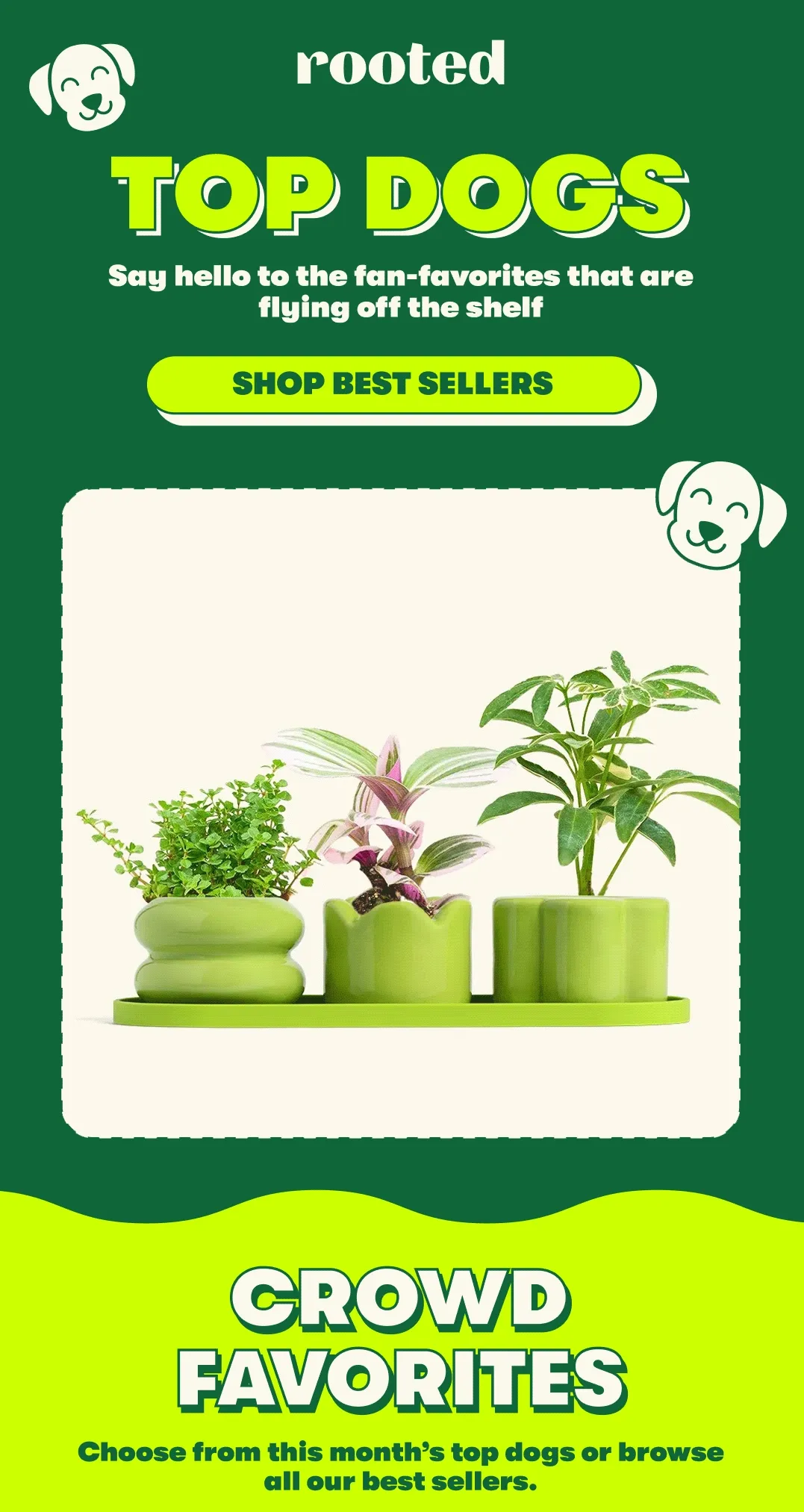 TOP DOGS Say hello to the fan-favorites that are flying off the shelf  [SHOP BEST SELLERS] CROWD FAVORITES Choose from this month’s top dogs or browse all our best sellers.