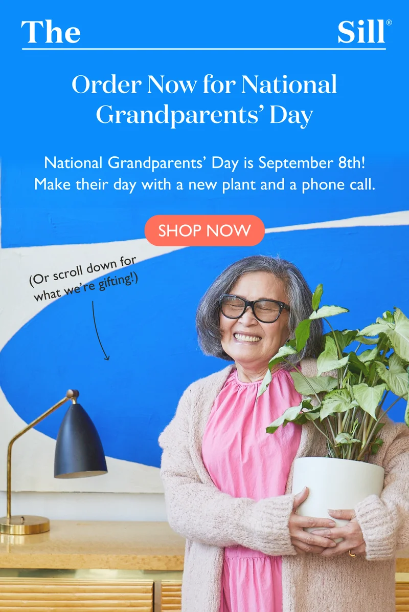 Order Now for National Grandparents Day!