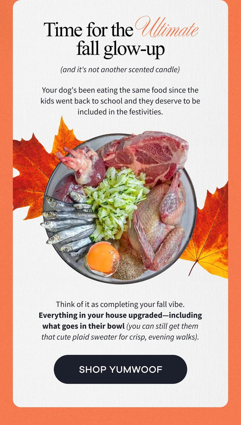 Time for the Ultimate fall glow-up (and it's not another scented candle) | Your dog's been eating the same food since the kids went back to school and they deserve to be included in the festivities.  | Think of it as completing your fall vibe. Everything in your house upgraded—including what goes in their bowl (you can still get them that cute plaid sweater for crisp, evening walks). | SHOP YUMWOOF