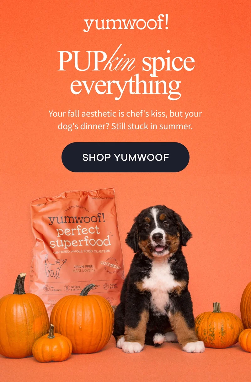 yumwoof! | PUPkin spice everything | Your fall aesthetic is chef's kiss, but your dog's dinner? Still stuck in summer. | SHOP YUMWOOF