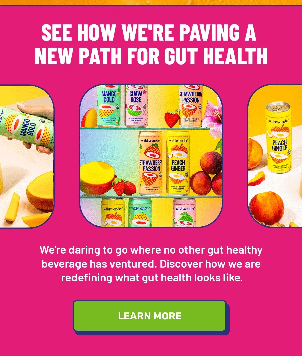 Learn about wildwonder's gut health benefits