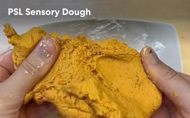 PSL Sensory Dough