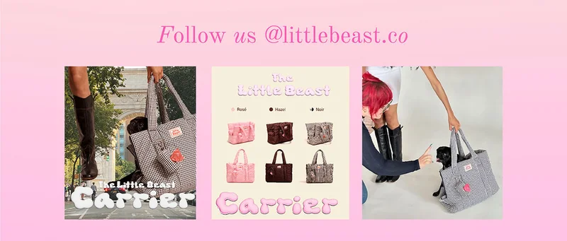 Follow us on Instagram