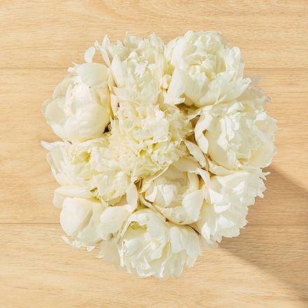 Image of Orion