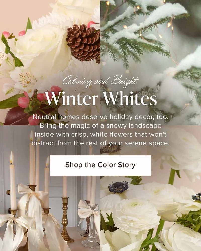 Calming and Bright: Winter Whites. Neutral homes deserve holiday decor, too. Bring the magic of a snowy landscape inside with crisp, white flowers that won't distract from the rest of your serene space. Shop the Color Story