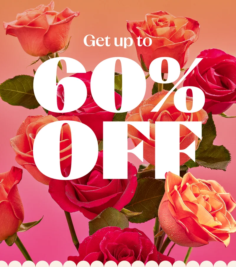 Get up to 60% off