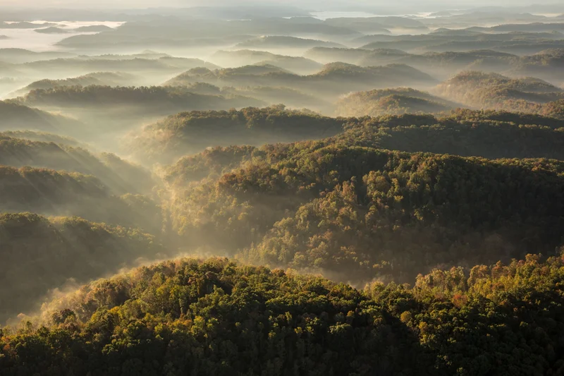 An aerial view of the Appalachian mountains are pictured covered in trees with fog and sunlight creeping over them.