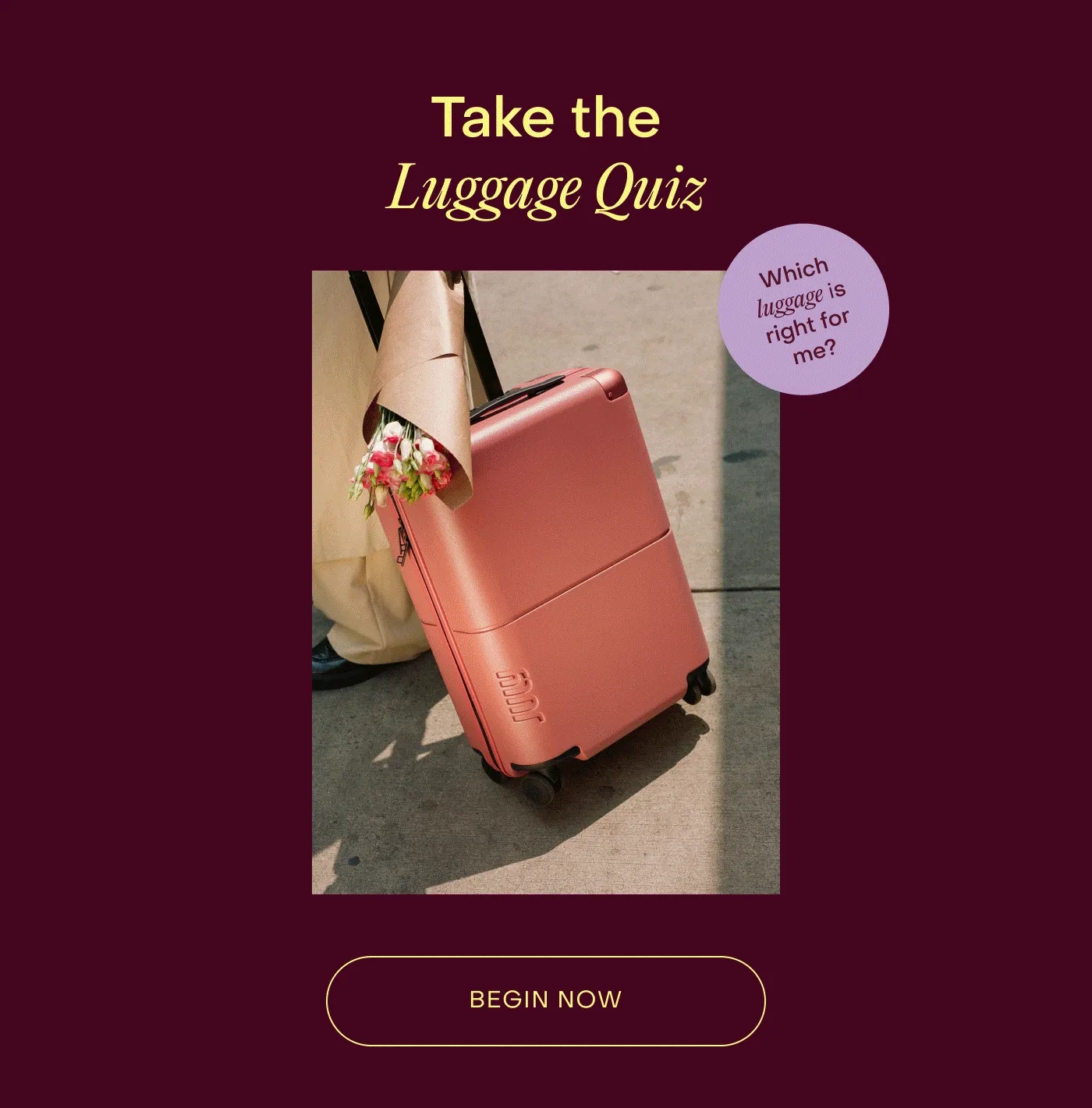 Take the Luggage Quiz