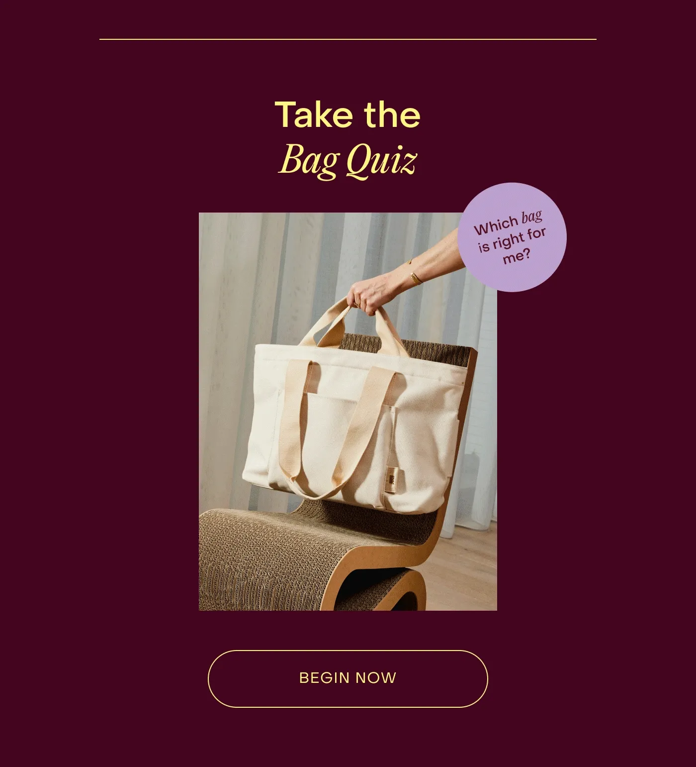 Take the Bag Quiz