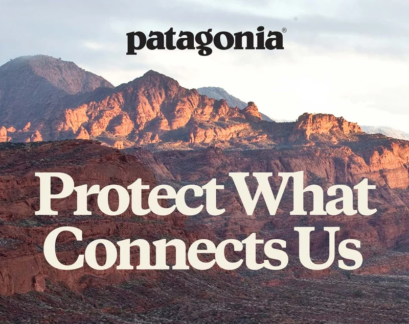 Patagonia. Protect What Connects Us
