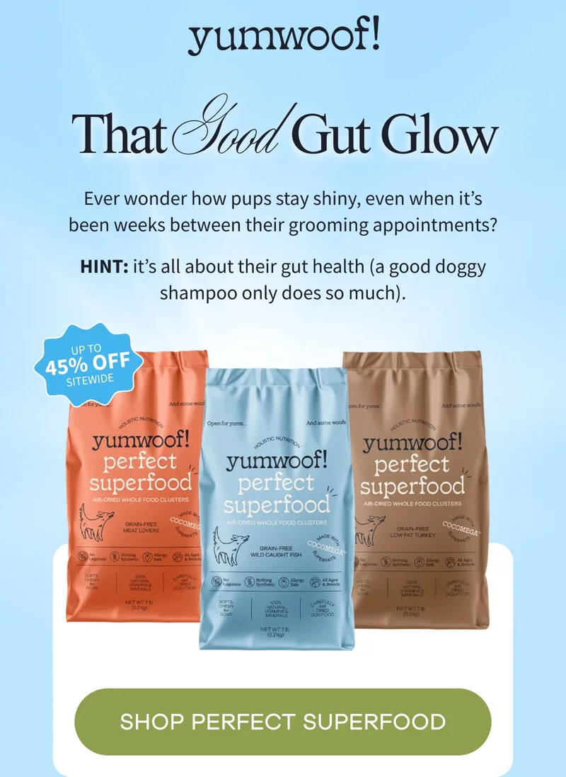 yumwoof! | That Good Gut Glow | Ever wonder how pups stay shiny, even when it’s been weeks between their grooming appointments? Hint: it’s all about their gut health (a good doggy shampoo only does so much). | SHOP PERFECT SUPERFOOD