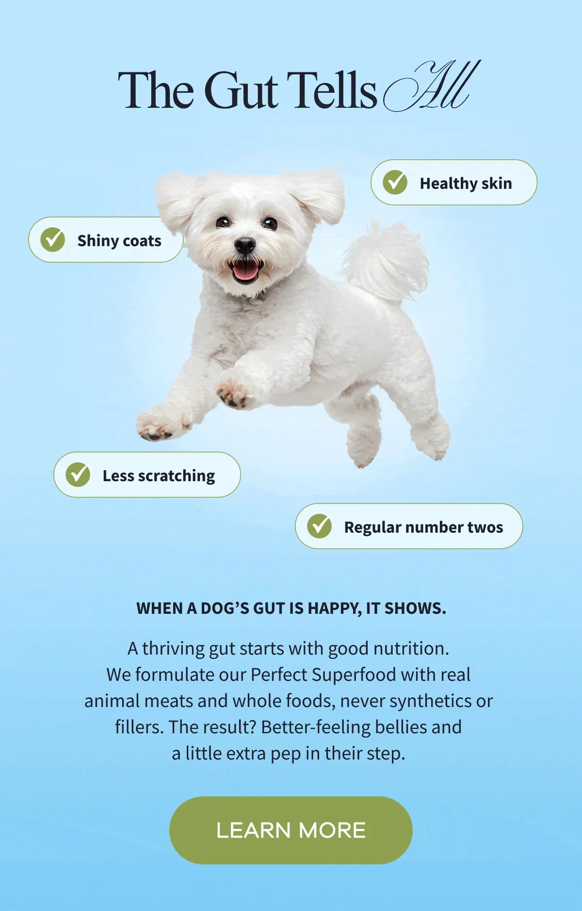 The Gut Tells All | When a dog’s gut is happy, it shows. A thriving gut starts with good nutrition. We formulate our Perfect Superfood with real animal meats and whole foods, never synthetics or fillers. The result? Better-feeling bellies and a little extra pep in their step. | LEARN MORE