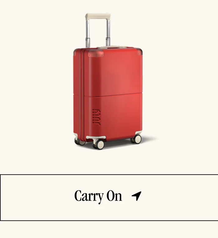 Carry On with CaseSafe™