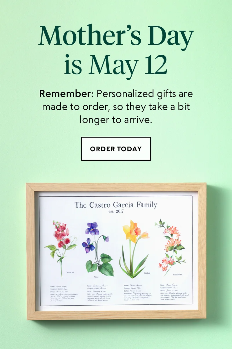 shop now
