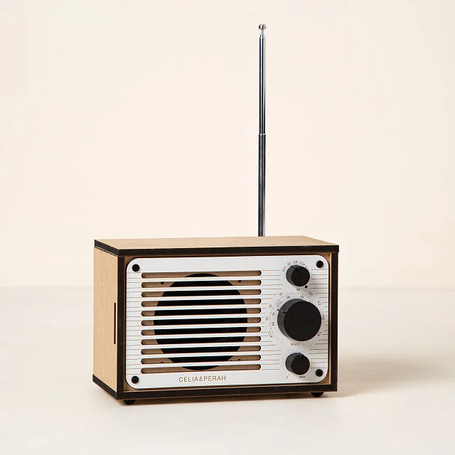 Build Your Own Bluetooth and FM Radio