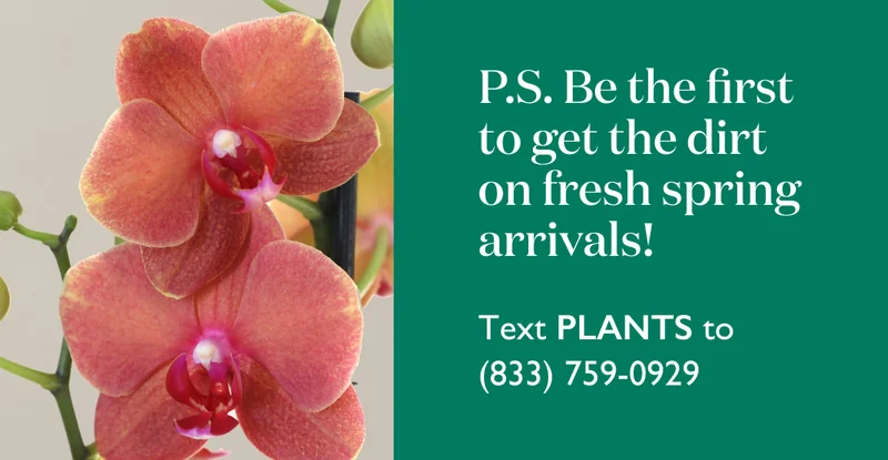 Be the first to get the dirt on fresh spring arrivals! Text PLANTS to 833-759-0929.