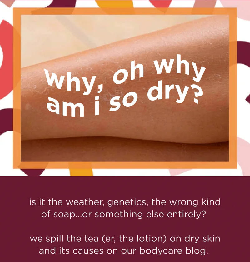 why, oh why am i so dry? is it the weather, genetics, the wrong kind of soap...or something else entirely?   we spill the tea (er, the lotion) on dry skin and its causes on our bodycare blog.