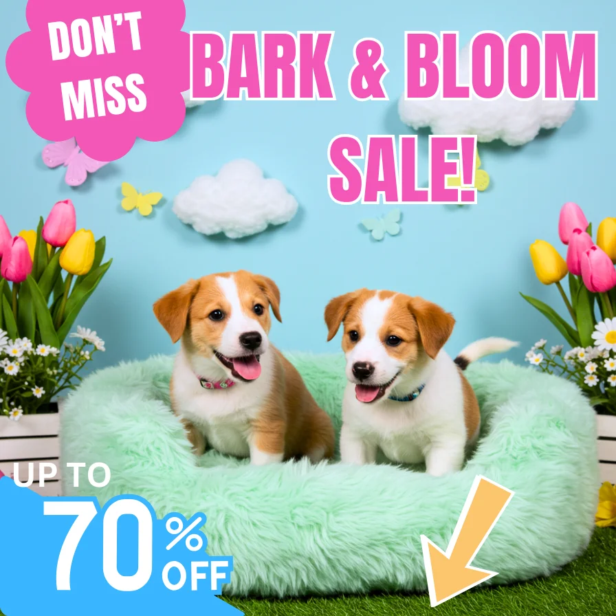 Dog happy products Dog happy products