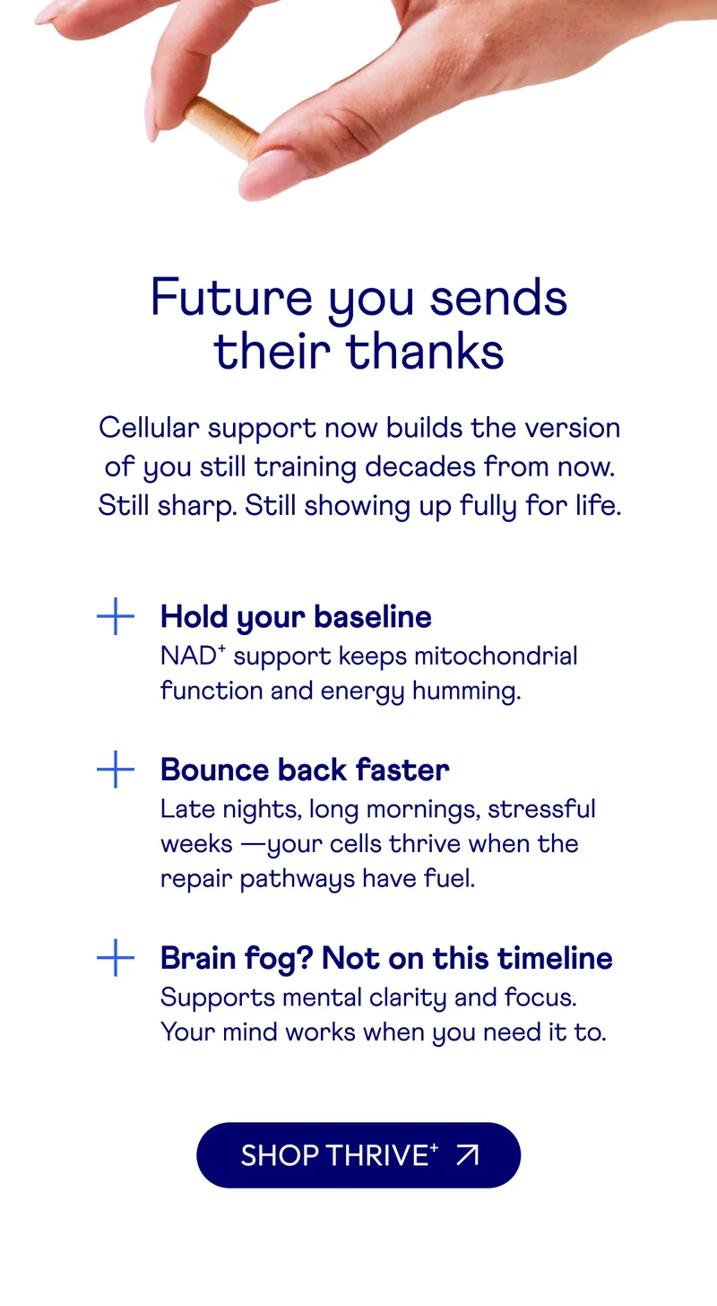 Future you sends their thanks