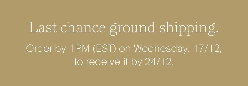 last chance ground shipping. - order by 1 pm (est) on wednesday, 17/12, to receive it by 24/12.