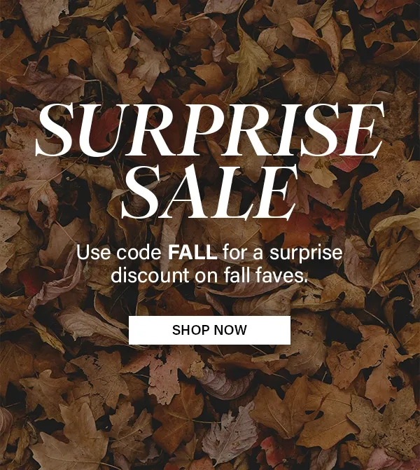 Surprise Sale use code FALL for a surprise discount on fall faves
