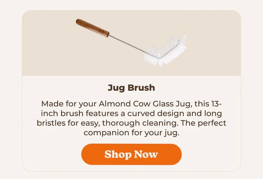 Shop Almond Cow Jug Brush
