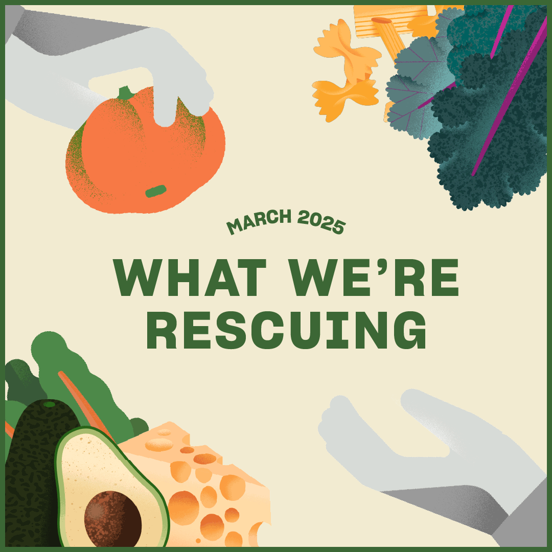 What We're Rescuing in March What We're Rescuing in March