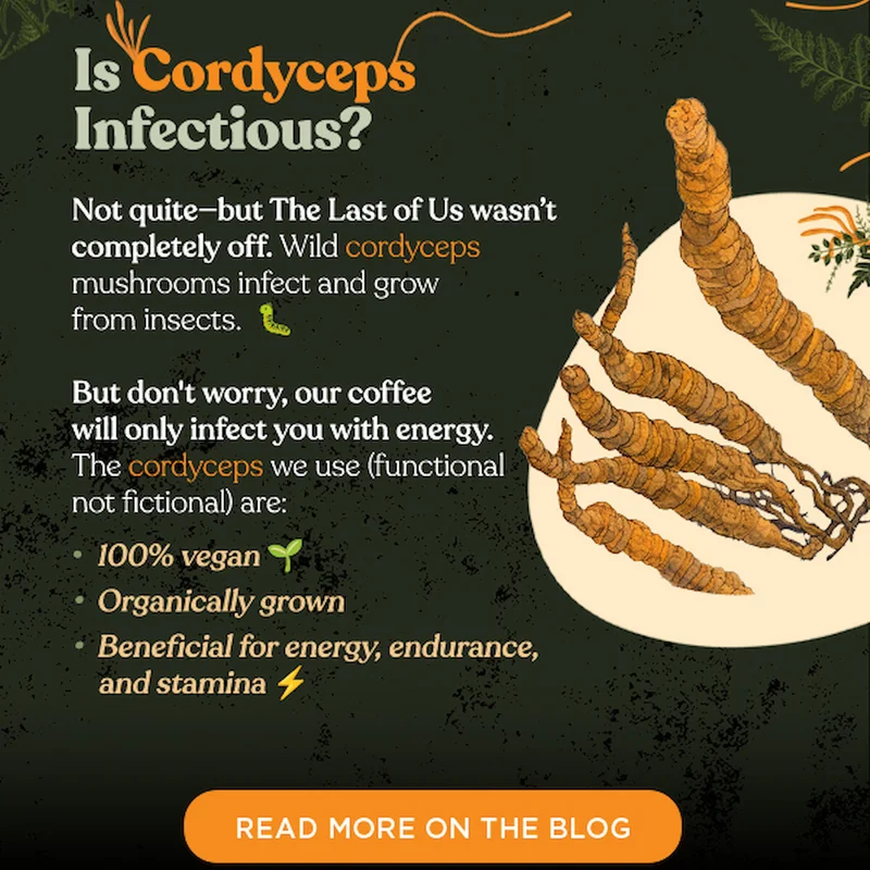 Facts About Cordyceps (read more on the blog)