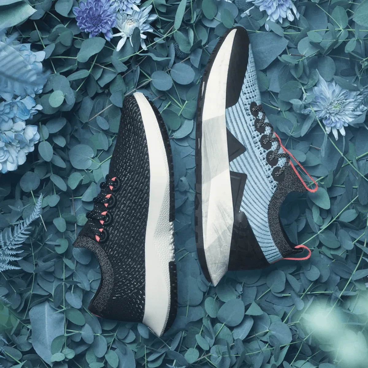 Limited Edition Shoes